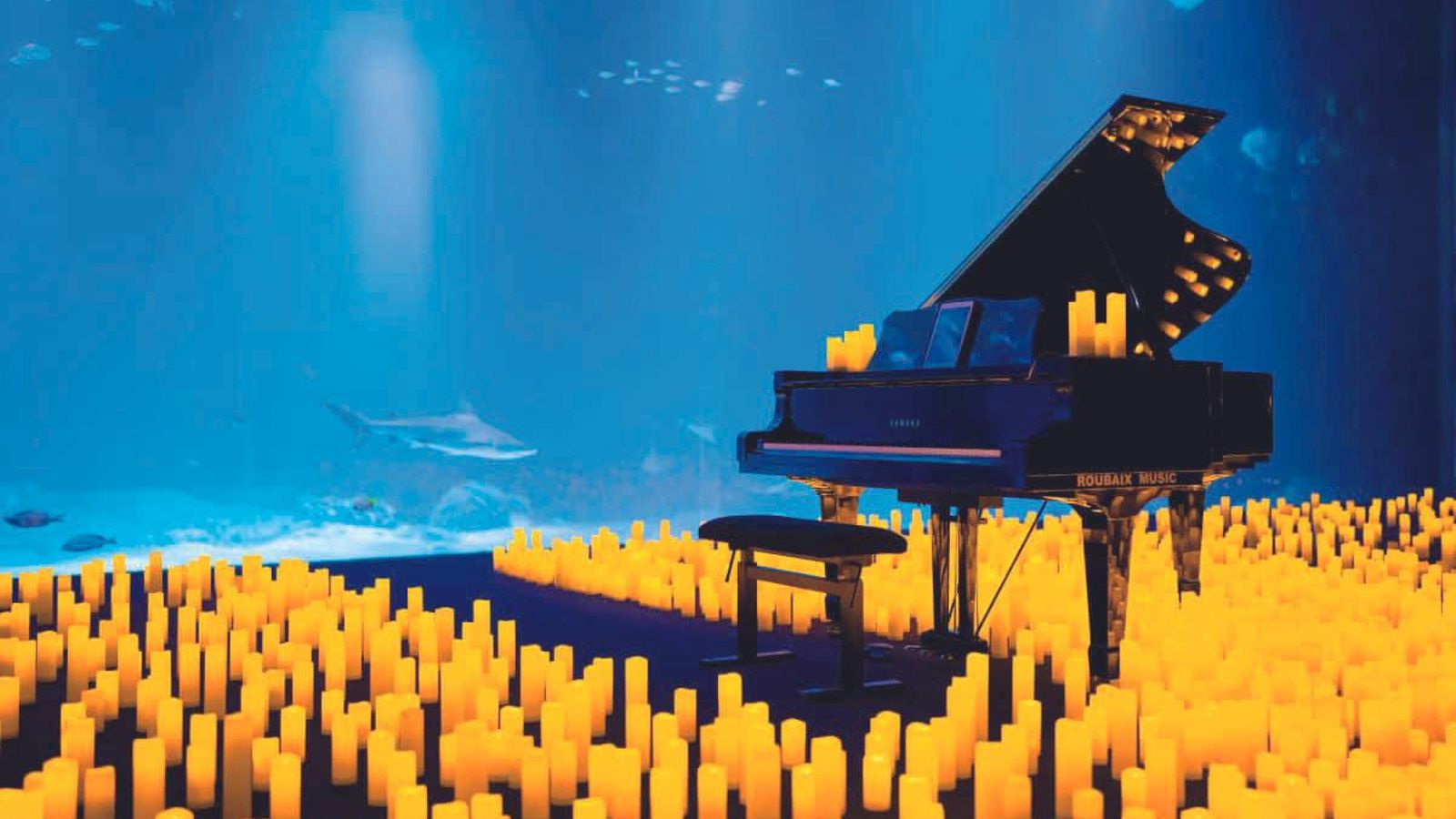 Candlelight en el Acuario de Sevilla