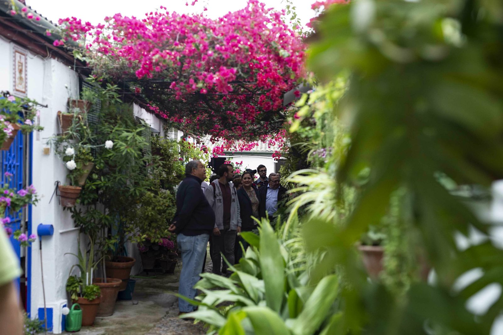 En imágenes: la ruta de los Patios Santa Marina-San Agustín