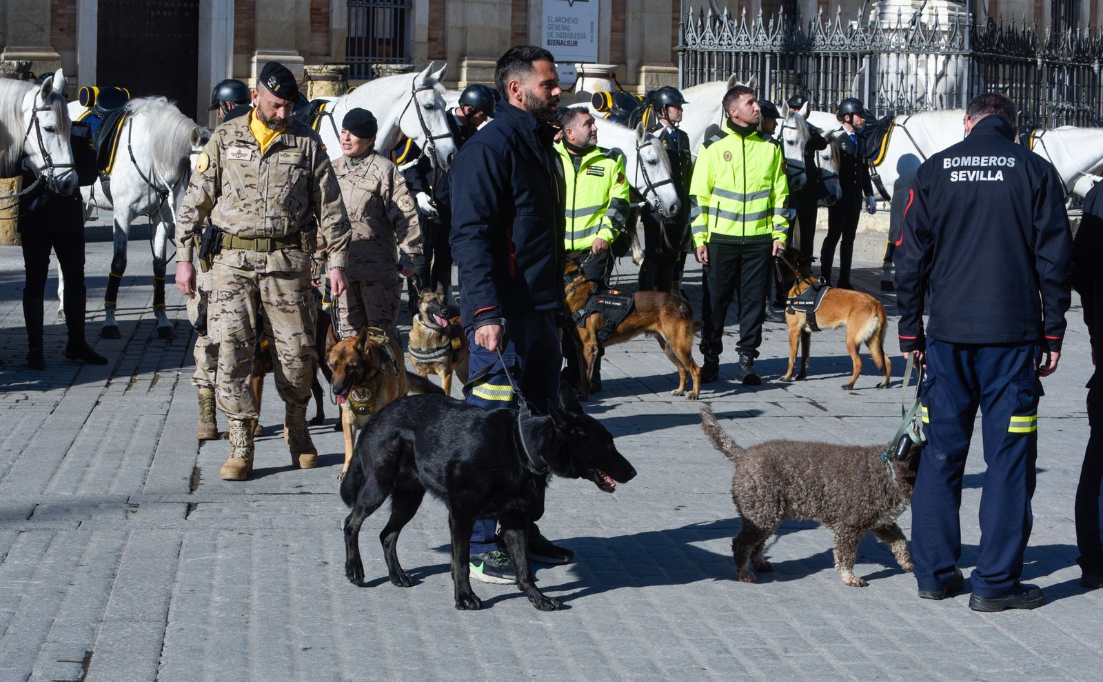 Caballería y guías caninos de la Policía Nacional celebran el patrón de los animales