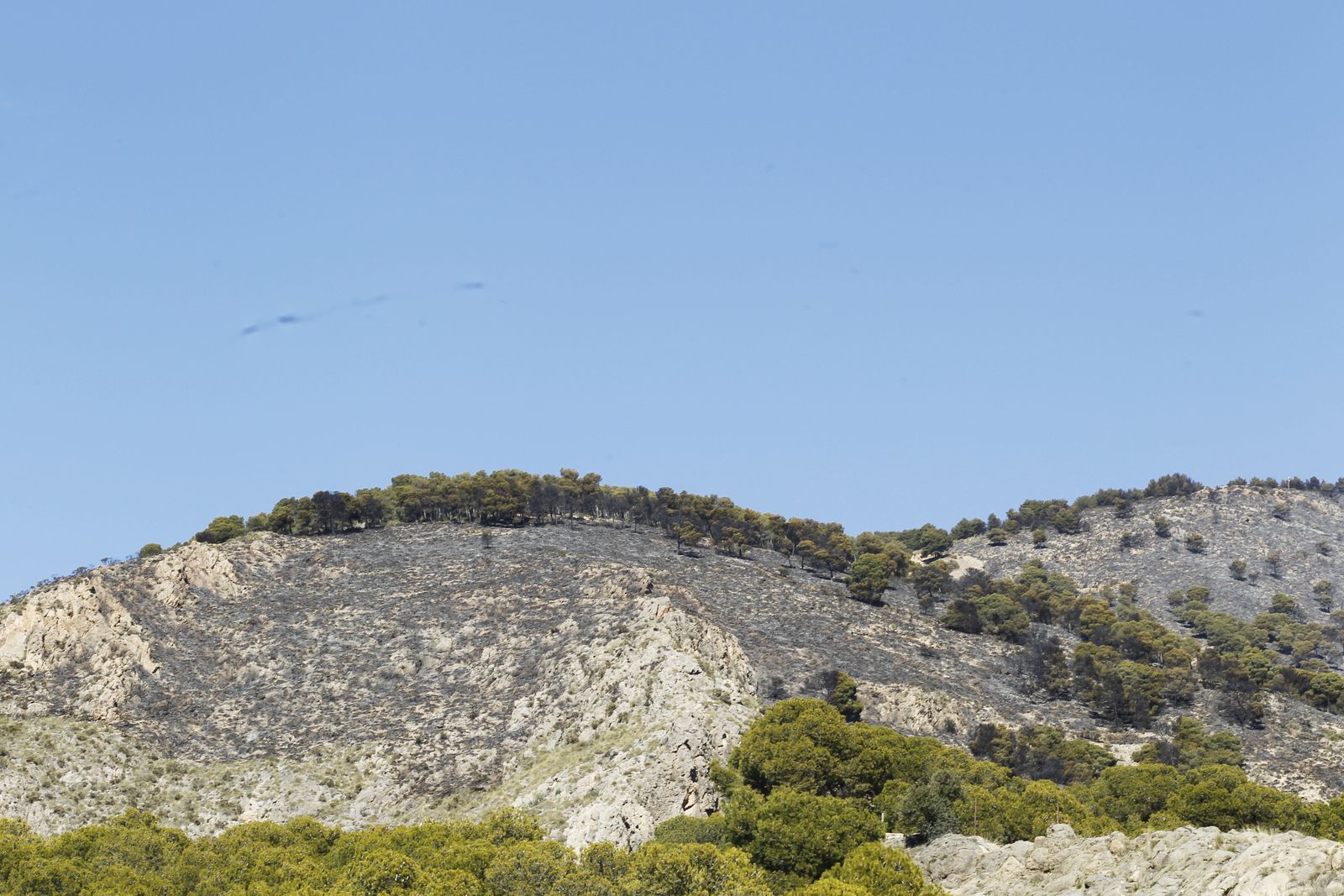 Fotogalería incendio forestal de Castala, Berja y Dalías.