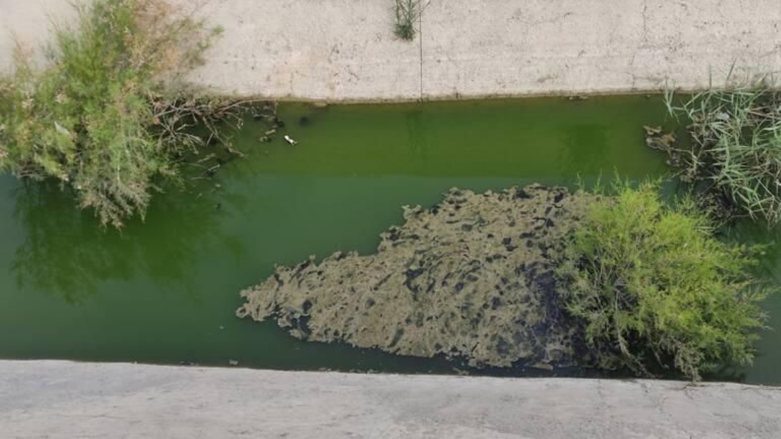 Aliviadero de Torrox en una imagen difundida por Ecologistas en Acción.