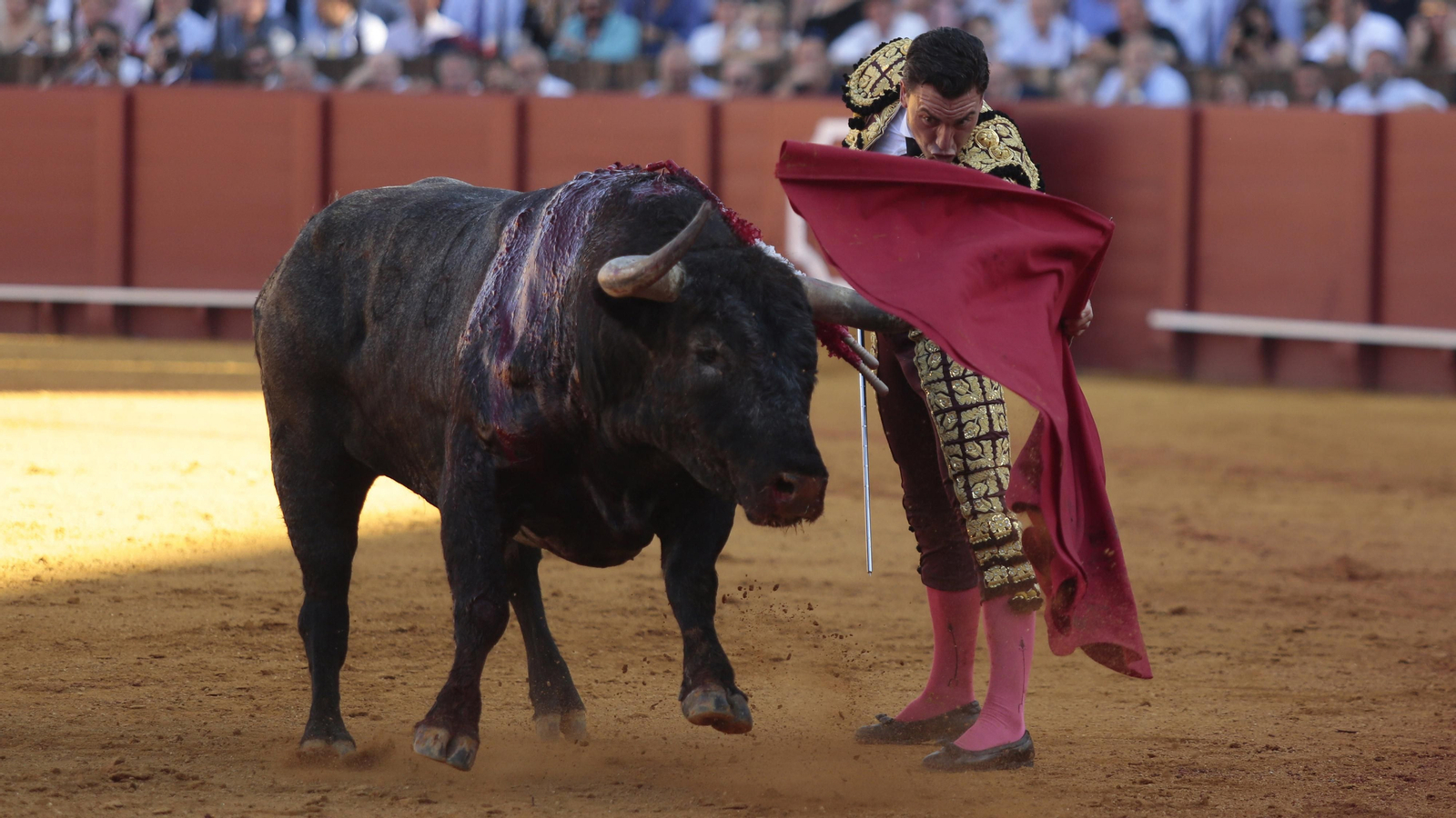 Las imágenes de la corrida de Los Miura