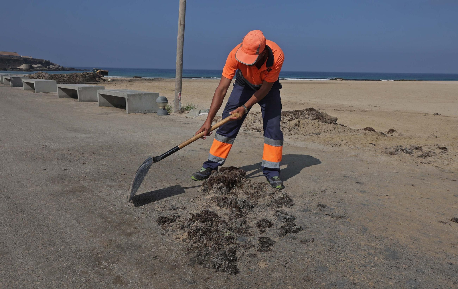El alga invasora cubre de nuevo la playa de Los Lances en Tarifa