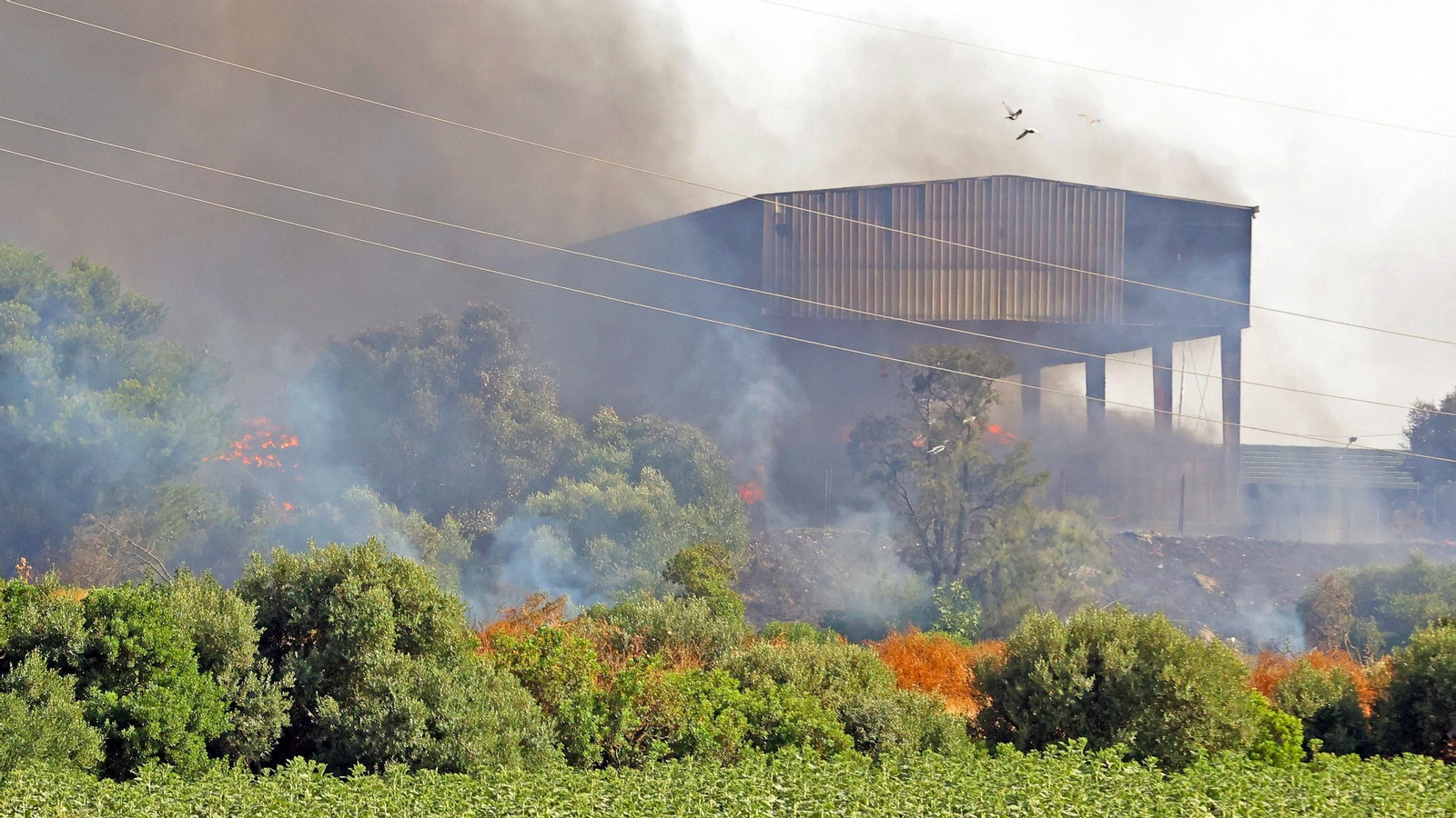 Imágenes del incendio en la planta de Las Calandrias en Jerez