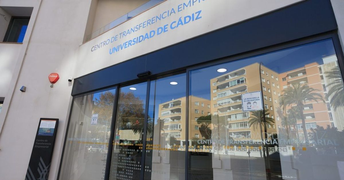 La Universidad de Cádiz lanza el Programa de Prácticas UCAEmprende para ...