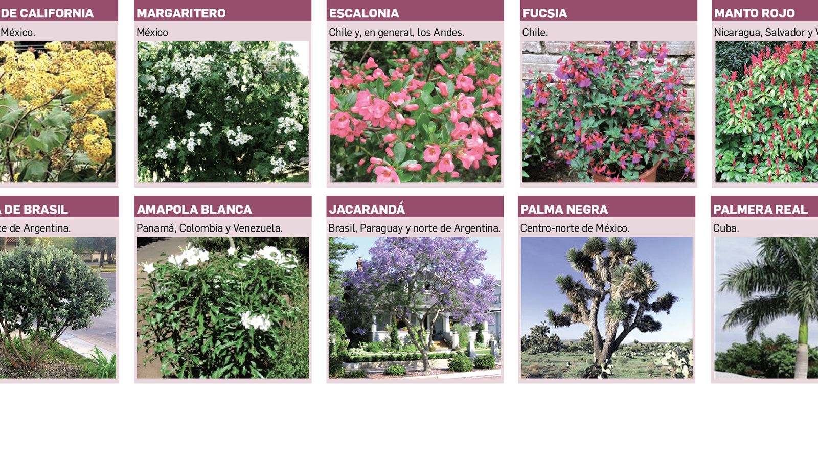 Las especies seleccionadas.