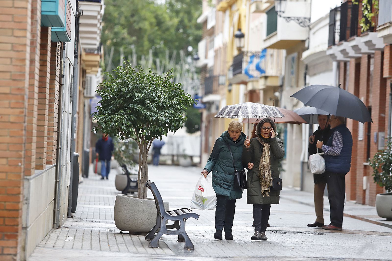Imágenes del martes 5 de diciembre, en Huelva