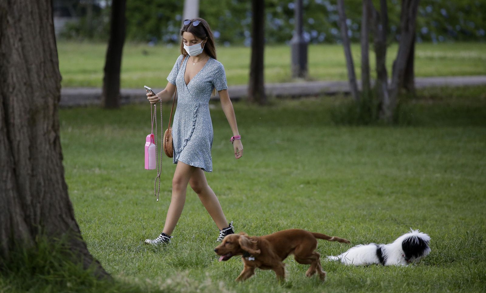 ¿Se puede sacar a pasear al perro en Granada durante el toque de queda?