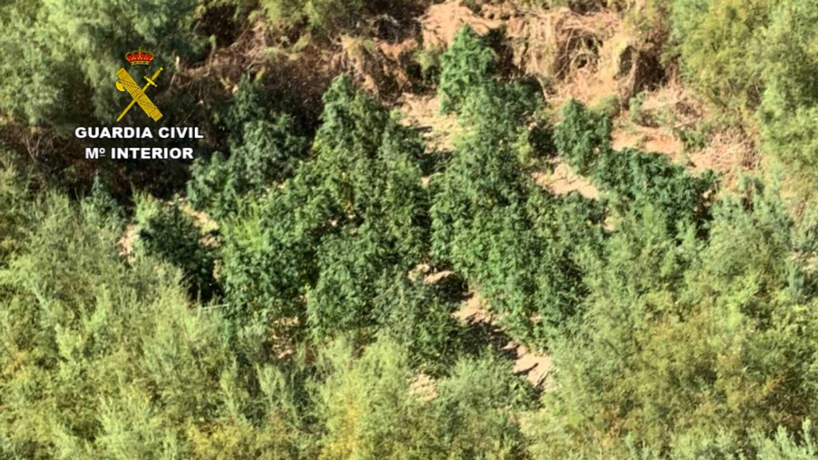 Imágenes de la actuación de la Guardia Civil en el Coto de Bornos