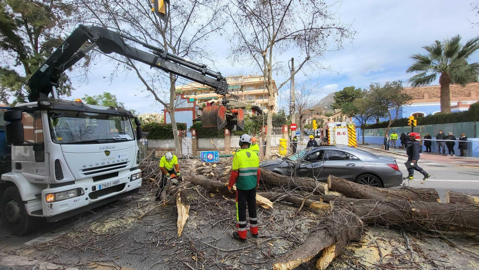 Operarios retiran el árbol que se precipitó sobre un coche en Pedregalejo.