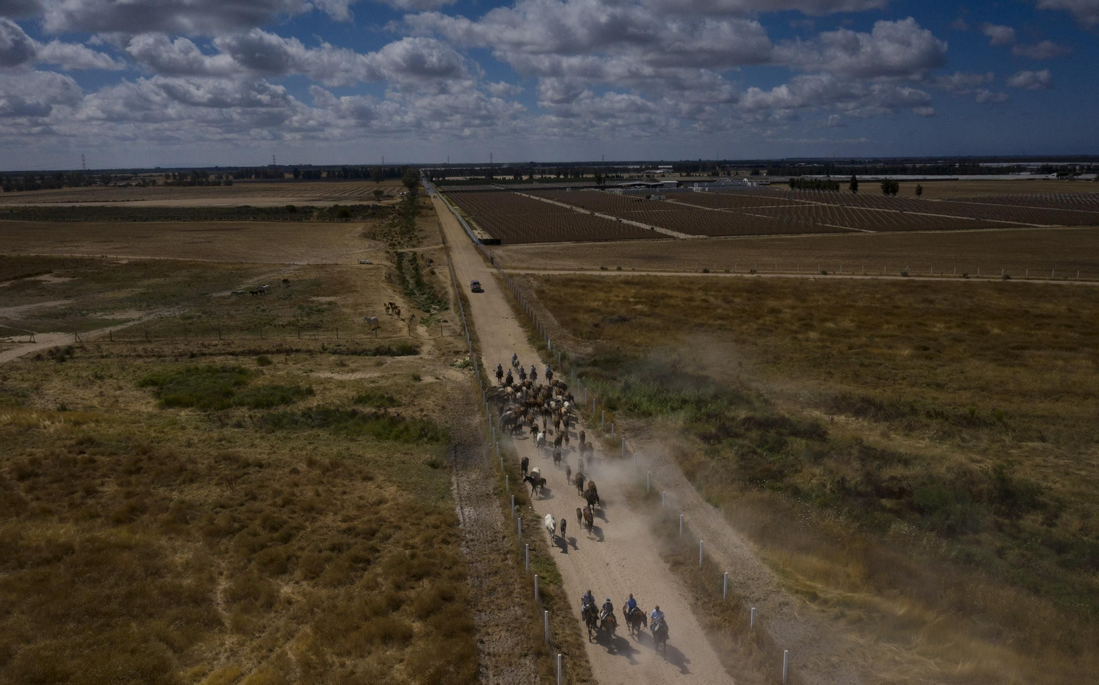 La Saca de las Yeguas, en imágenes