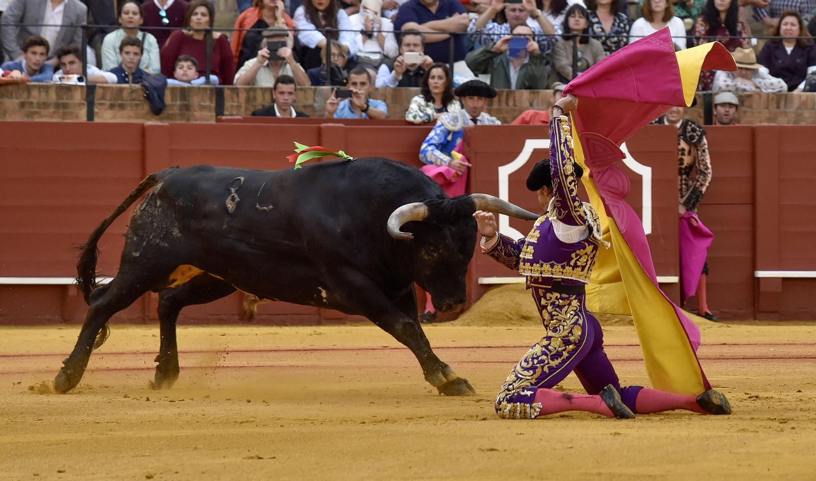 Las imágenes de la 14ª de abono de la Maestranza