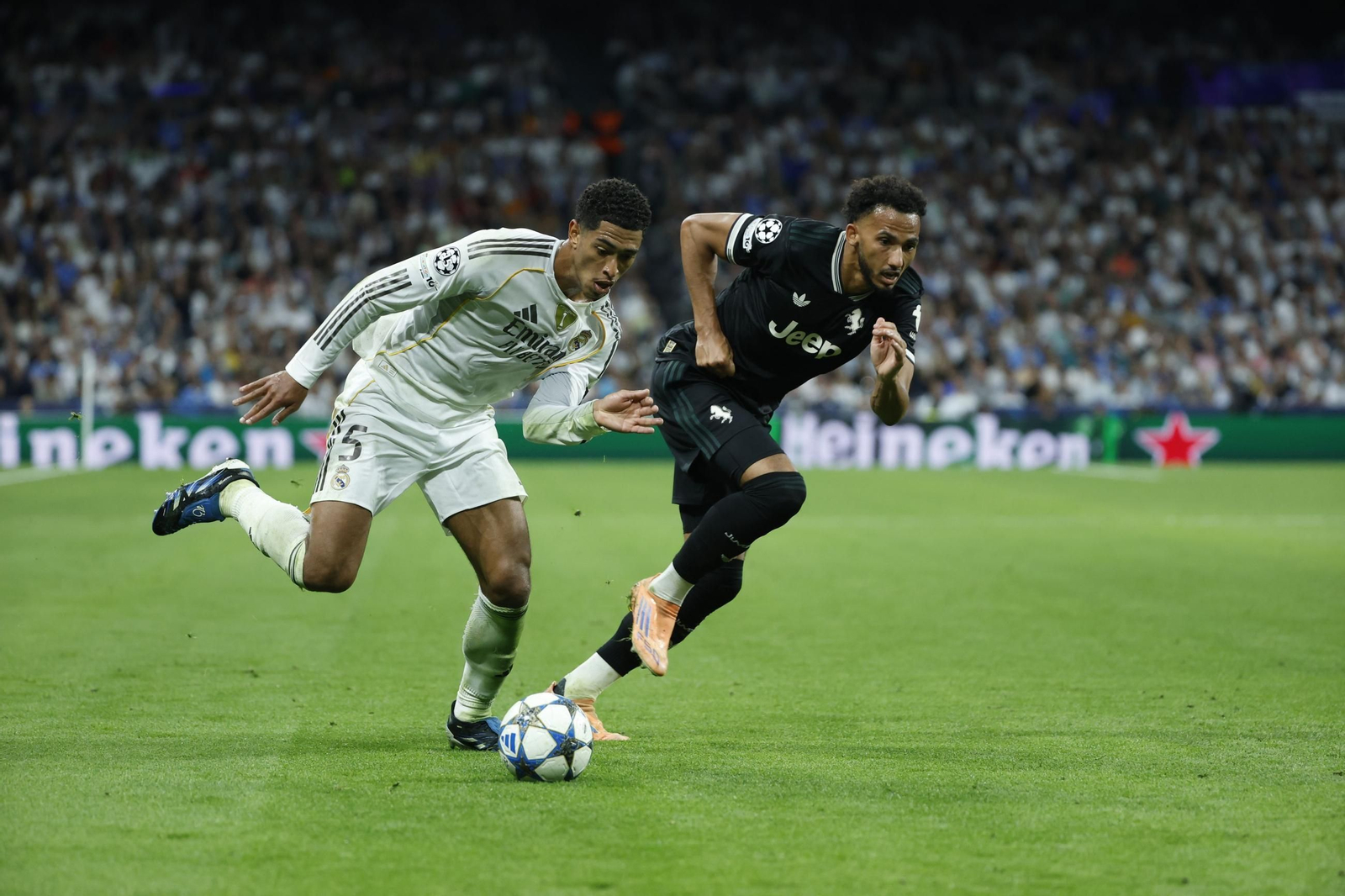 Bellingham pugna con Lloyd Kelly.