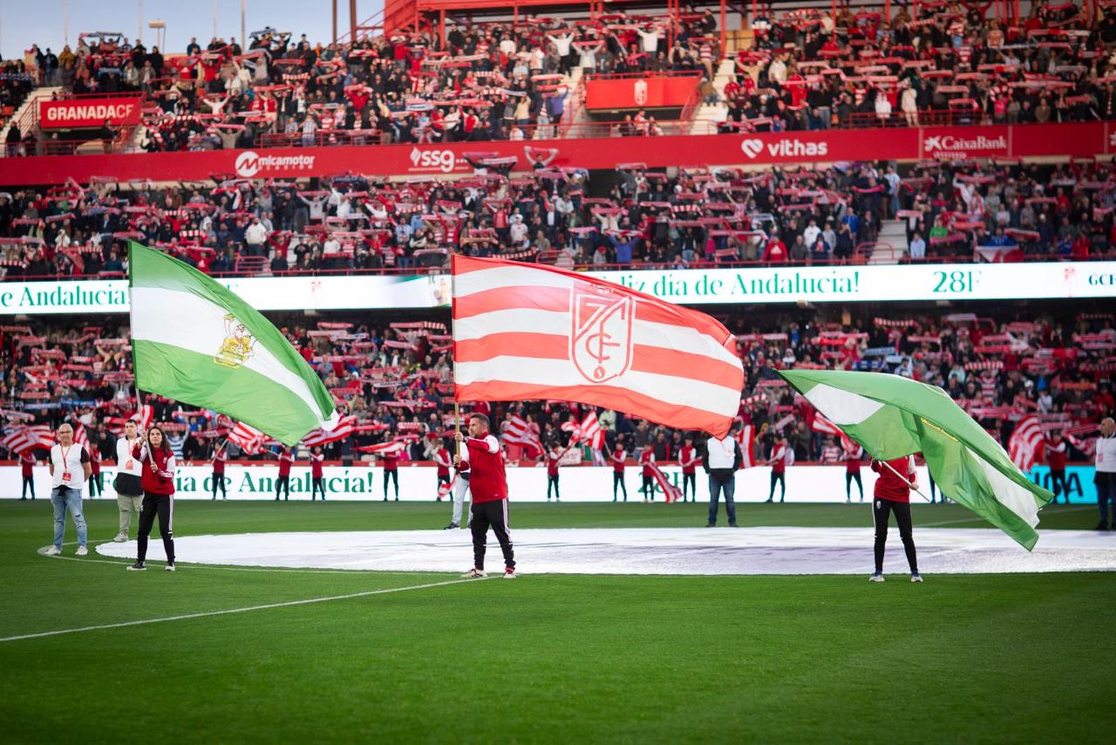 Encuéntrate en la grada del Estadio Nuevo Los Cármenes durante el Granada CF-Málaga CF