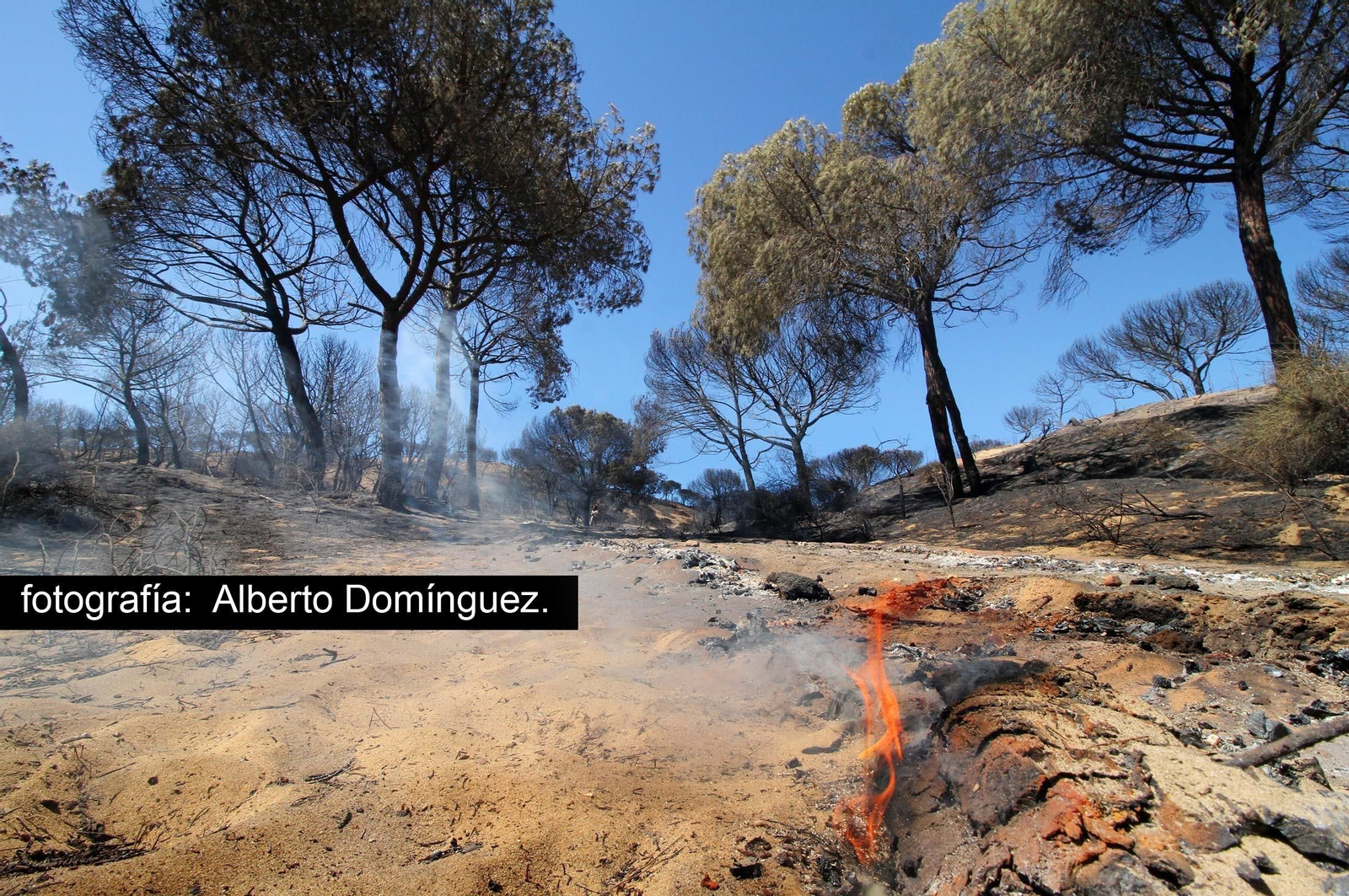 Imágenes de Cuesta Maneli tras el incendio.