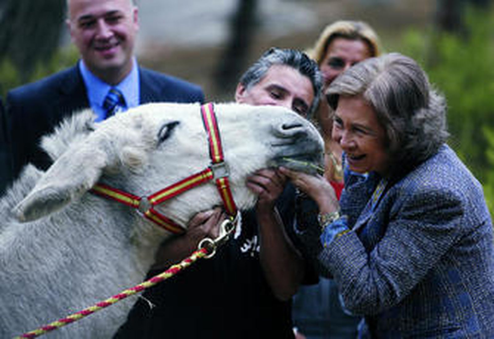 El señor de los burros