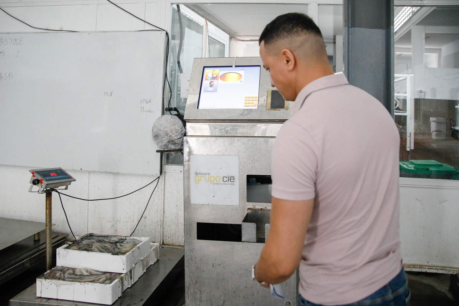 Vea cómo es la captura de pulpo en Adra, un manjar gastronómico