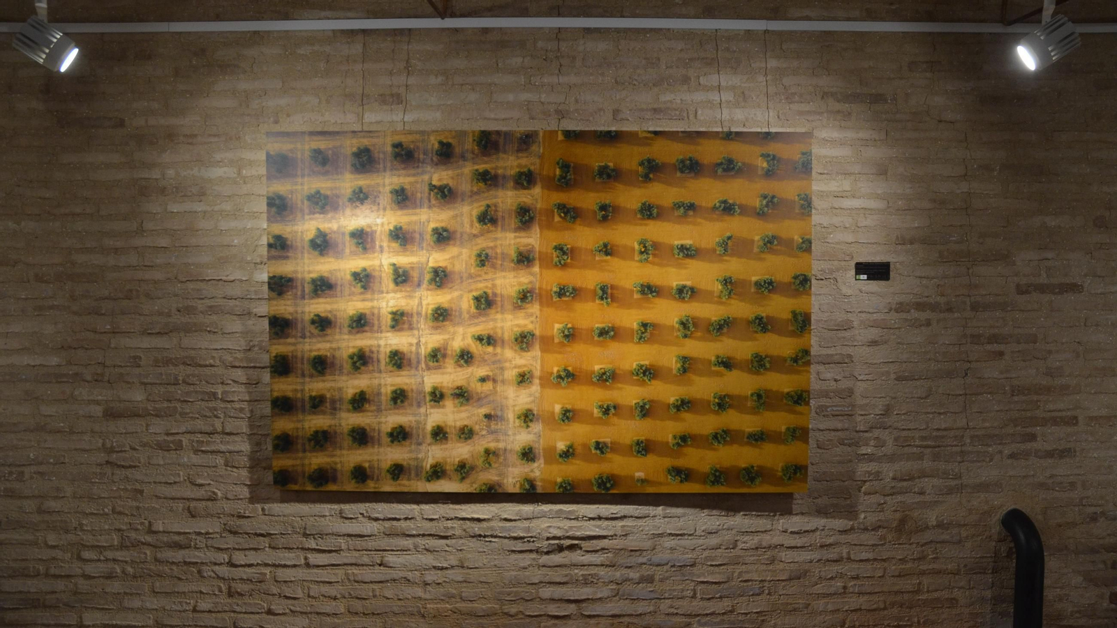 Fotografía ganadora del certamen, por Manuel Jesús Carrasco.