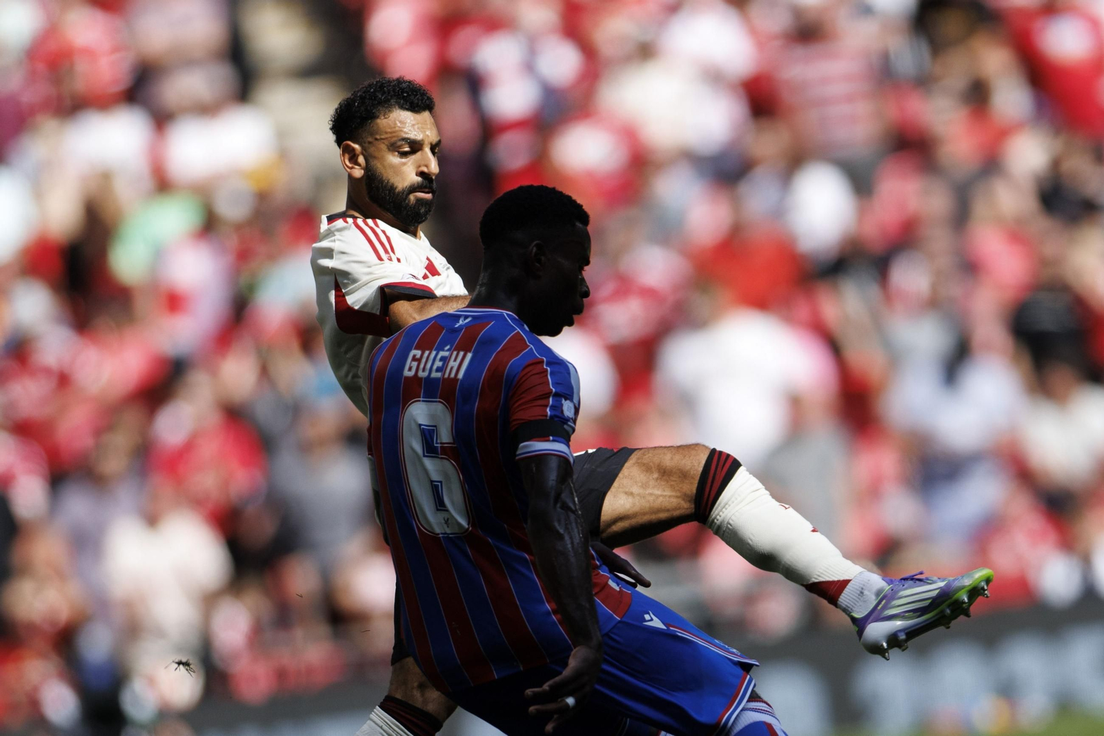 El título del Crystal Palace sobre el Liverpool, en imágenes (2-1)