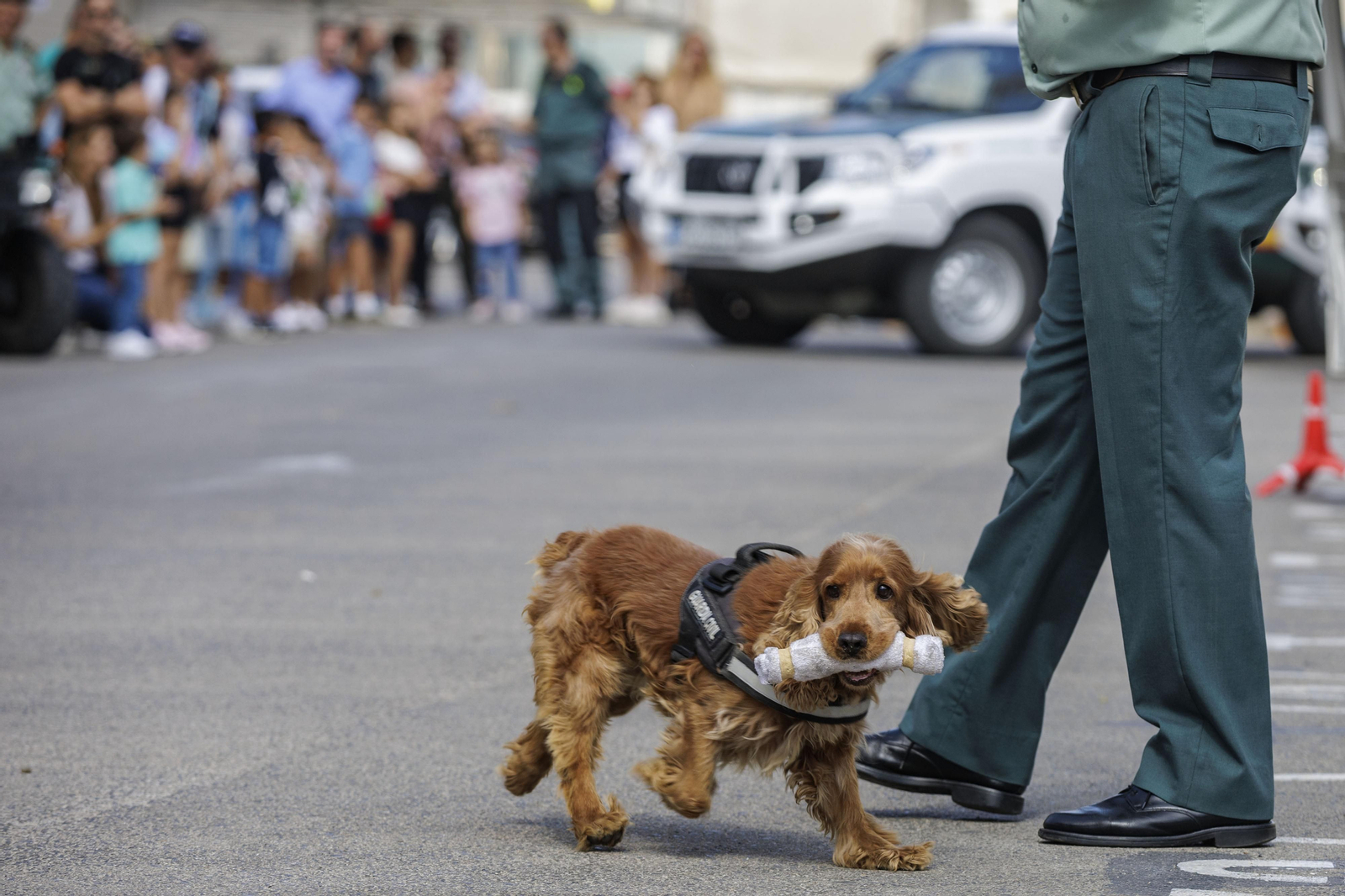 Todas las imágenes de la Jornada de Puertas Abiertas en la Guardia Civil de Cádiz