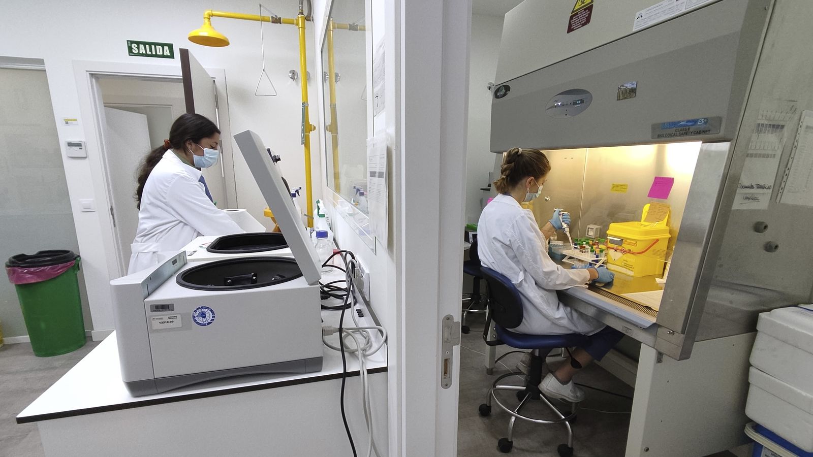 Dos profesionales del laboratorio en diferentes funciones dentro de plan de registro, procesamiento y almacenamiento de biorrecursos.