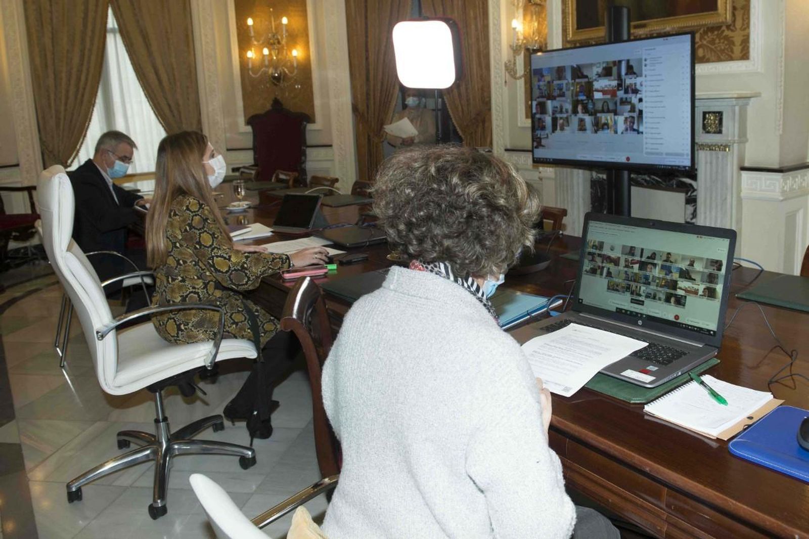 La presidenta  atenta al pleno telemático de esta mañana.