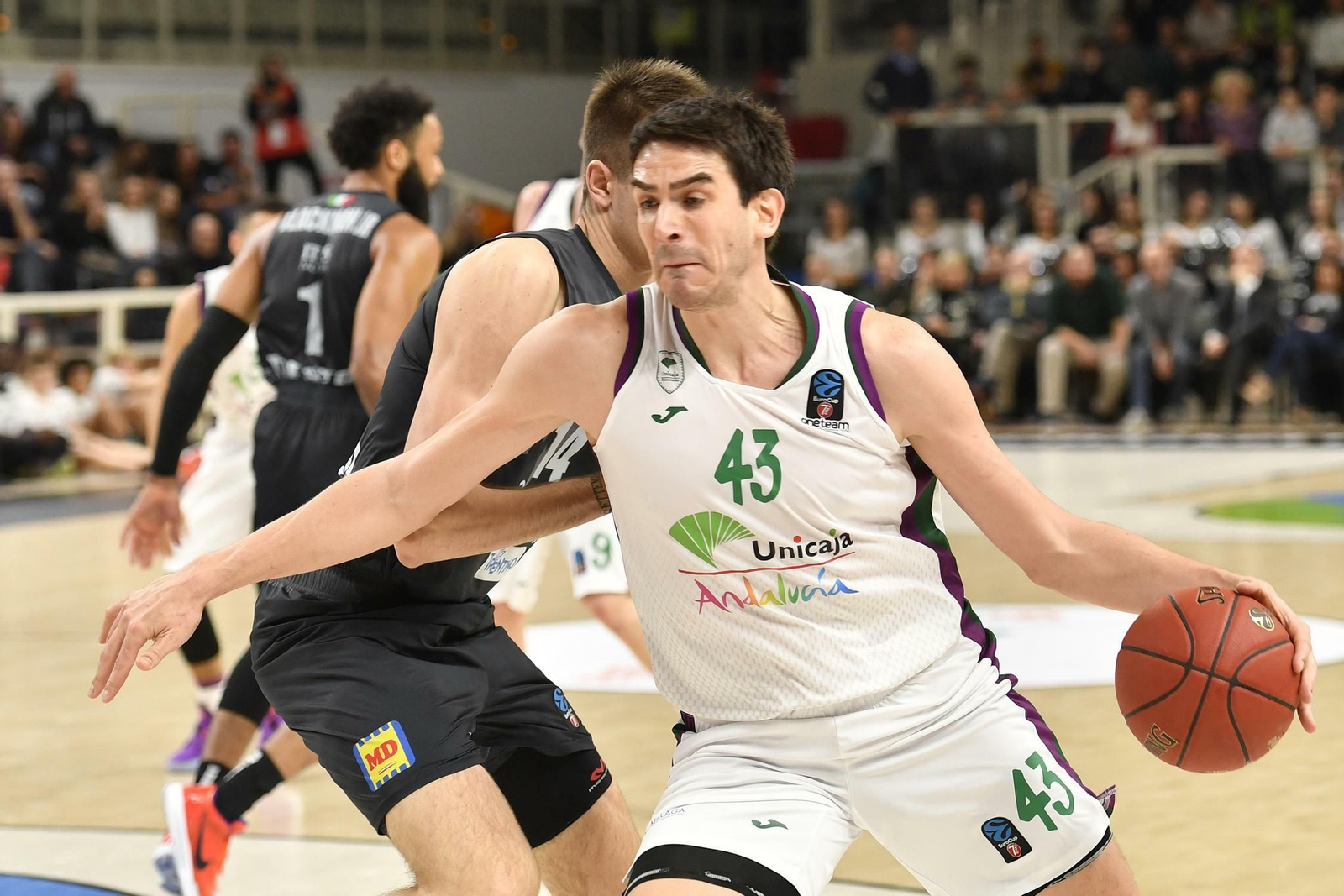 Las fotos del Trento - Unicaja