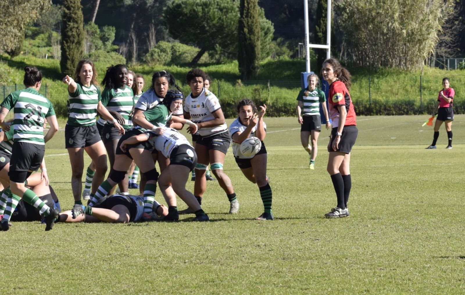 Las fotos del Corteva Cocos campeón