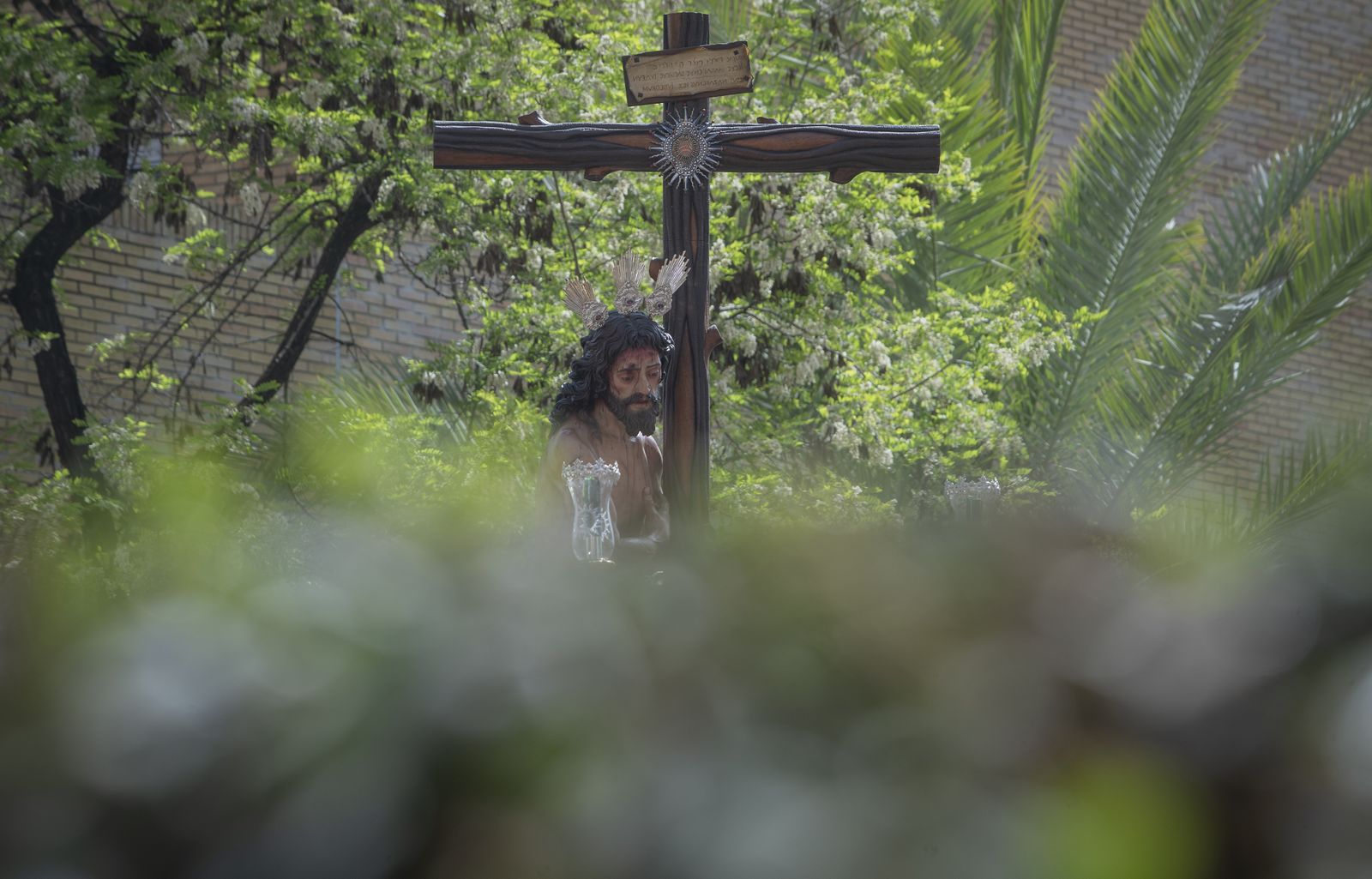 La Hermandad del Sol, en imágenes