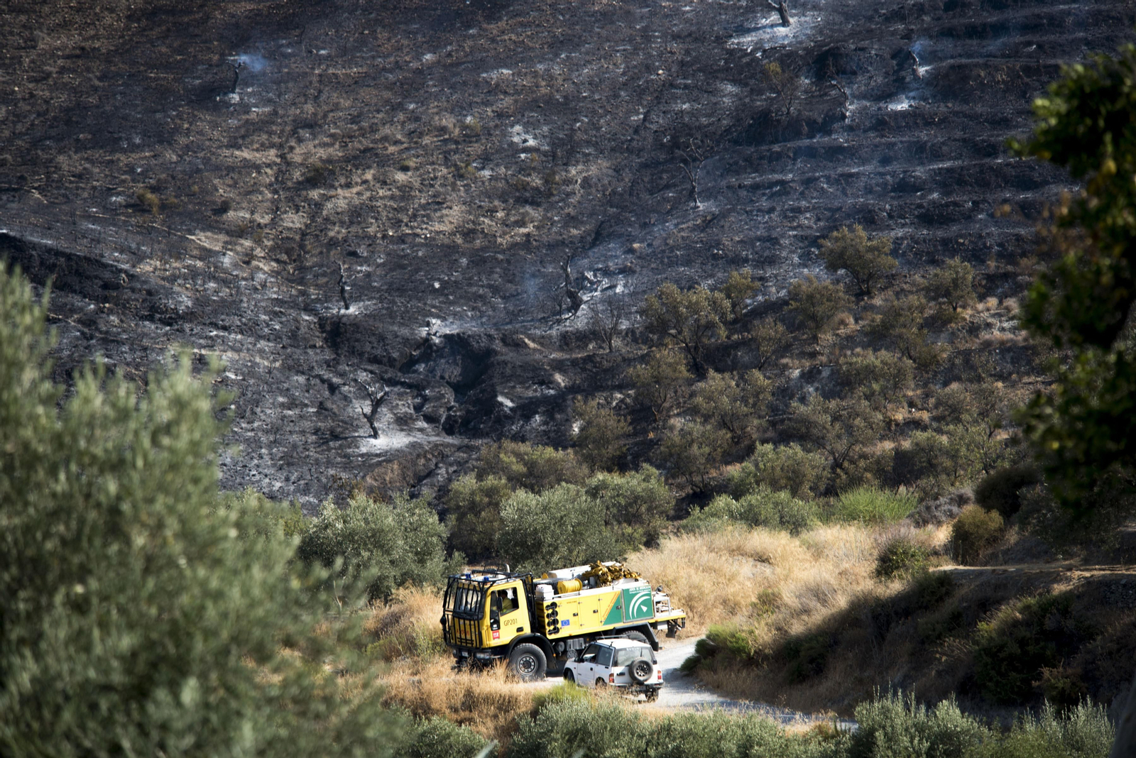 Imágenes del incendio ya estabilizado en Pinos del Valle