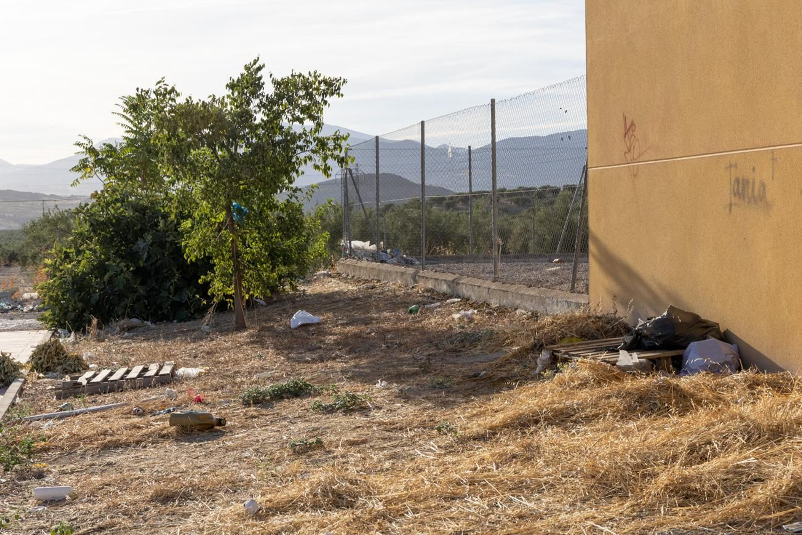 Así se encuentra el trazado del tranvía de Jaén