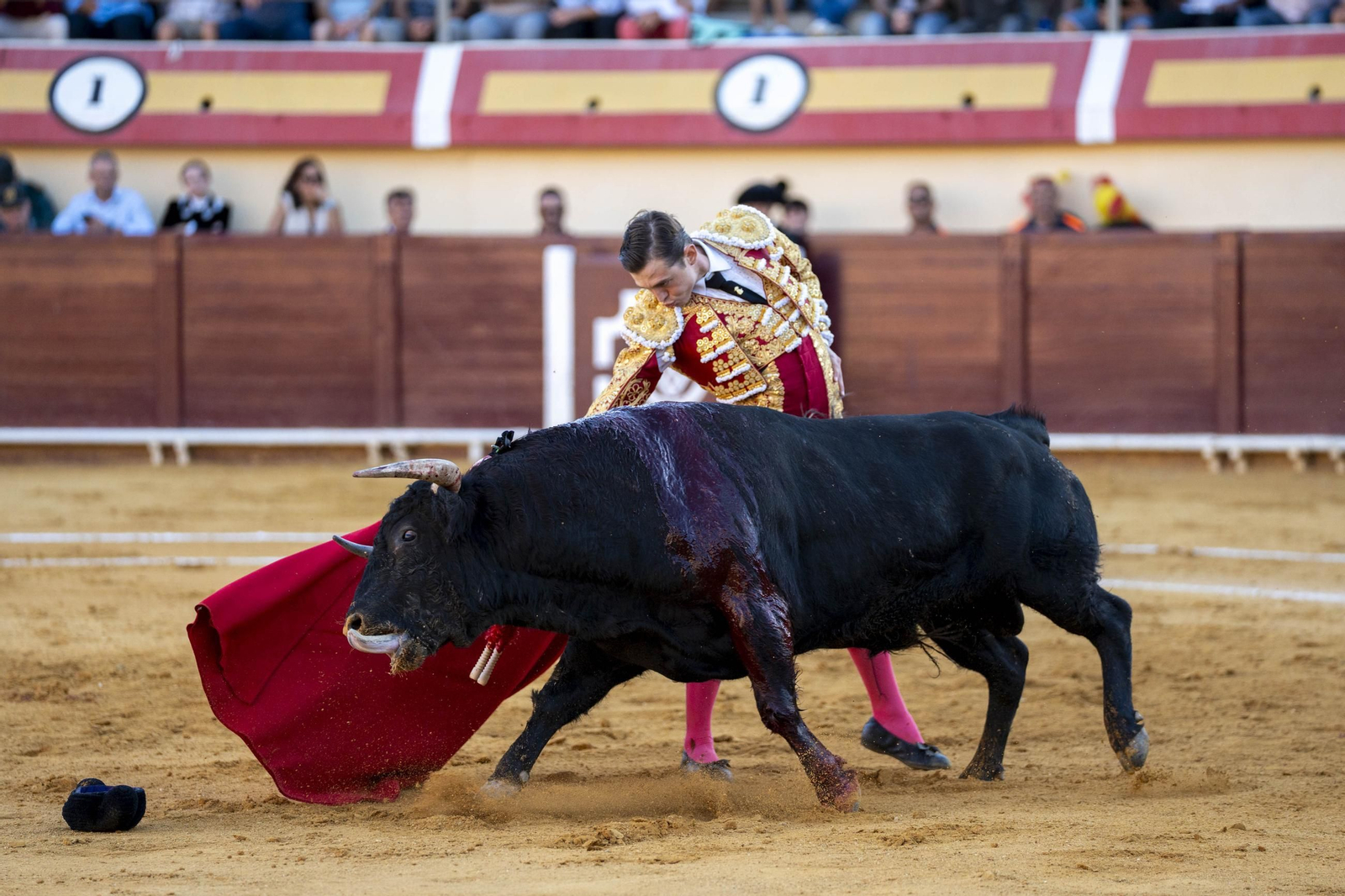 Las imágenes de los toros en Vera