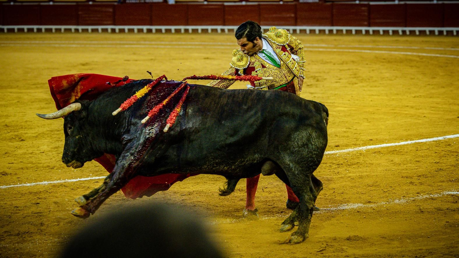 Las imágenes de la corrida de toros en El Puerto: Morante, Talavante y Juan Ortega
