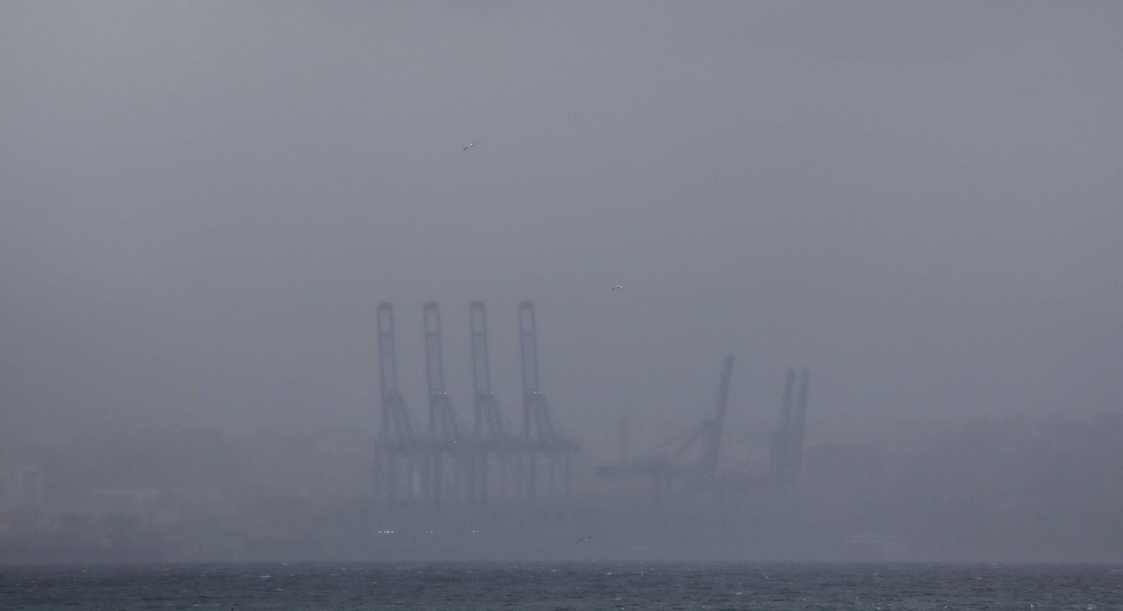 Fotos del temporal de lluvia y viento en el Campo de Gibraltar