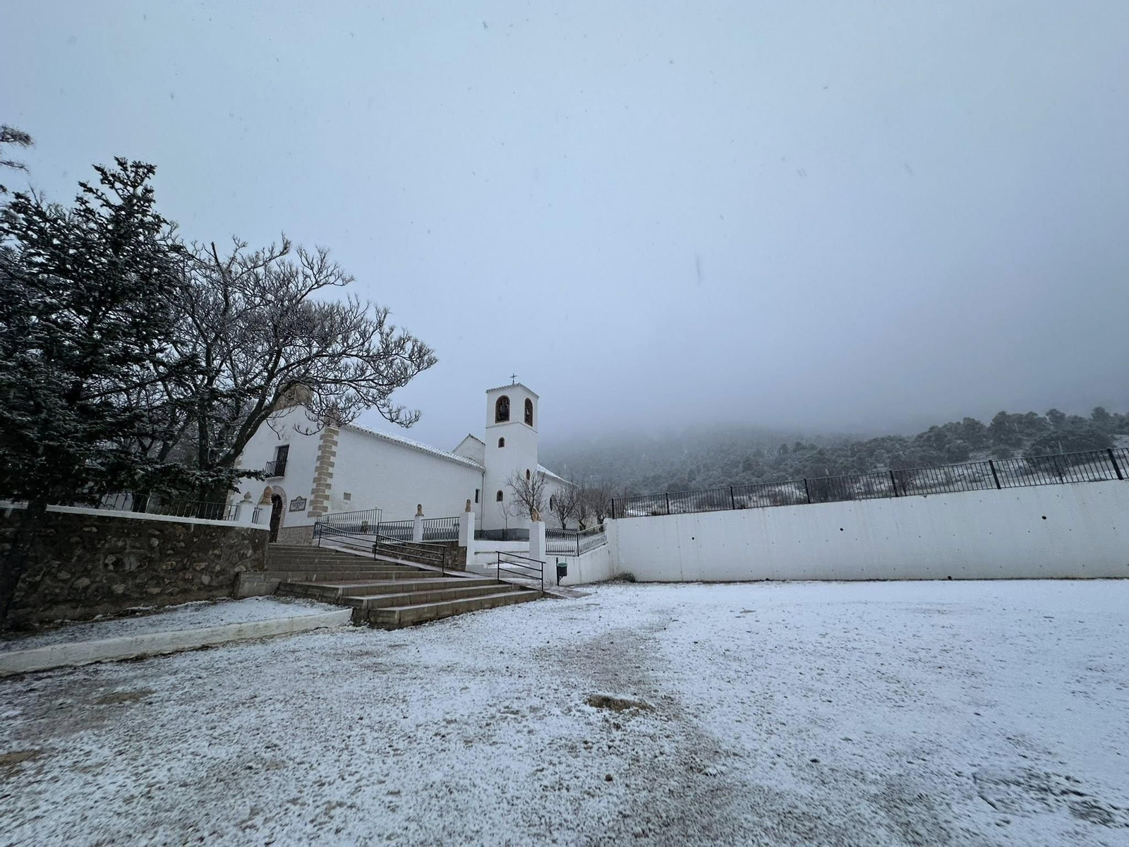 Espectaculares imágenes del manto de nieve.