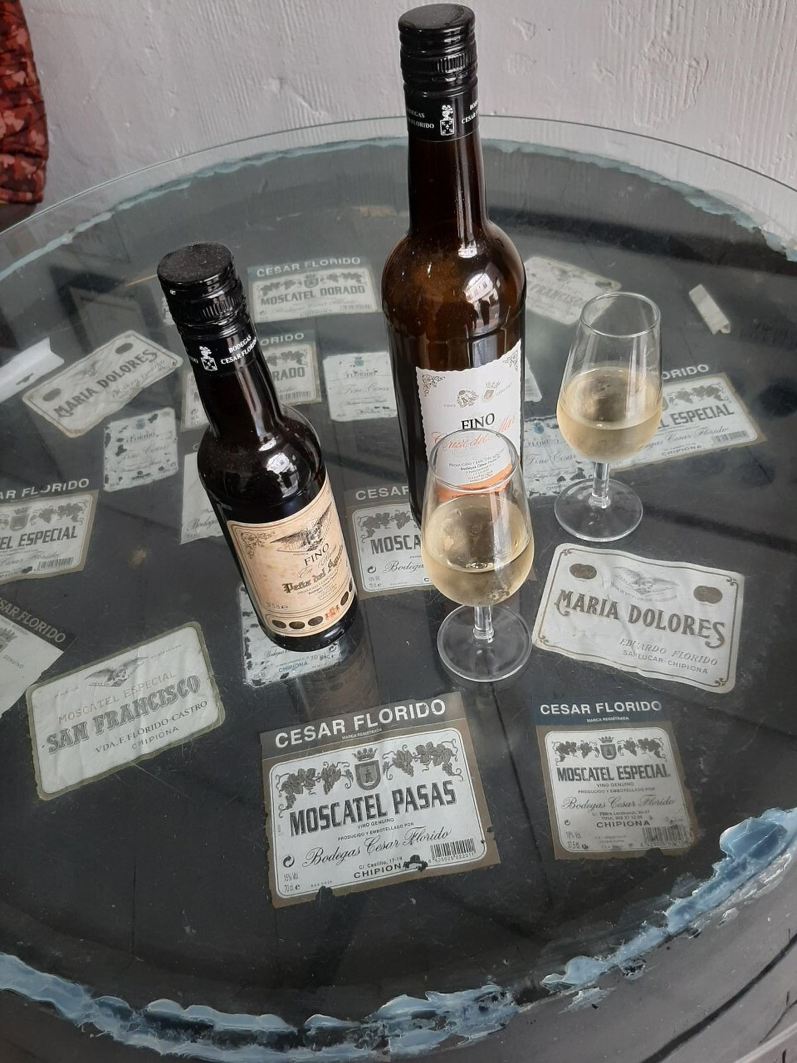 Vinos y etiquetas de las bodegas César Florido.