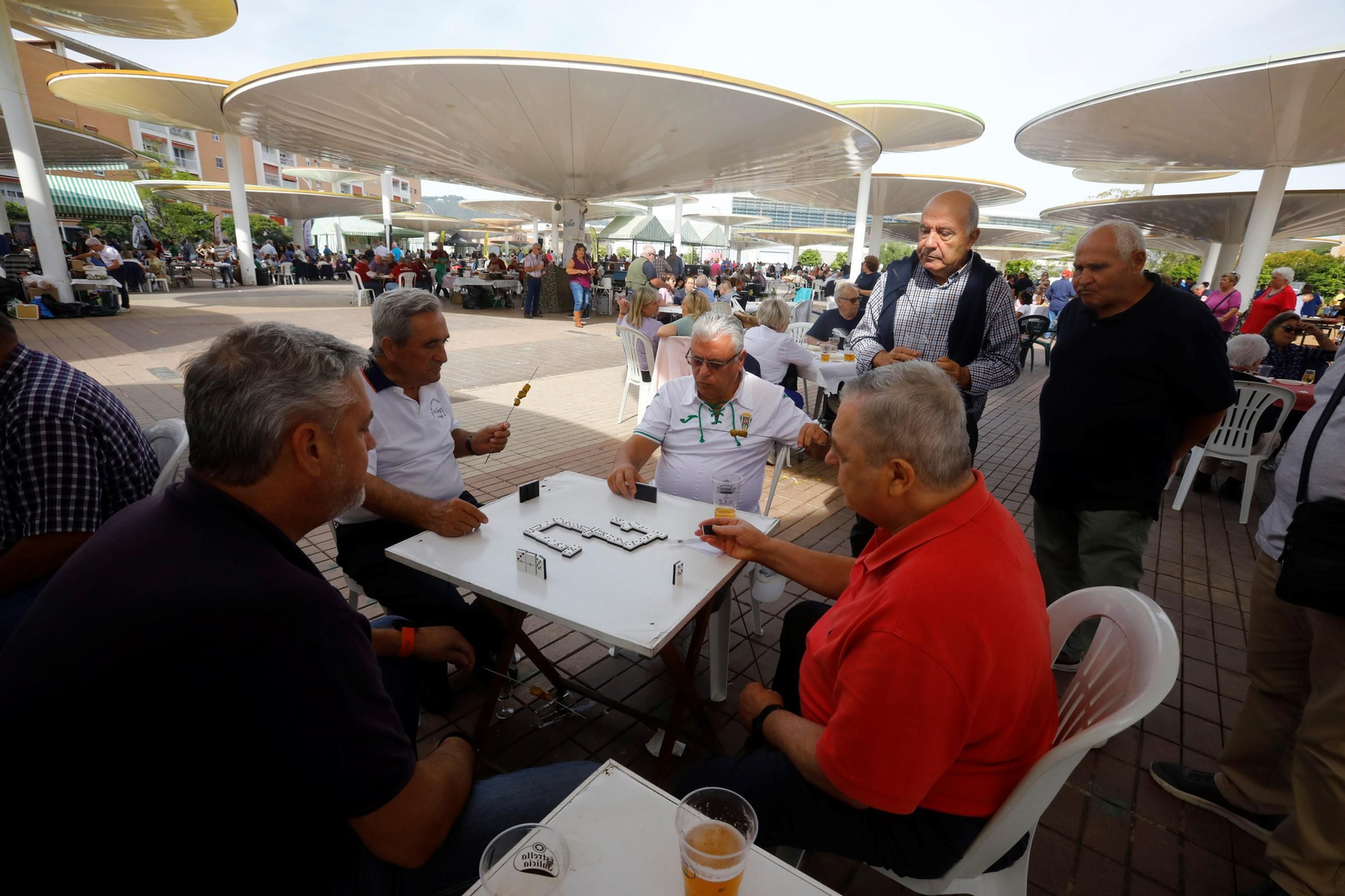 Las peñas celebran su tradicional perol en las Setas, en imágenes