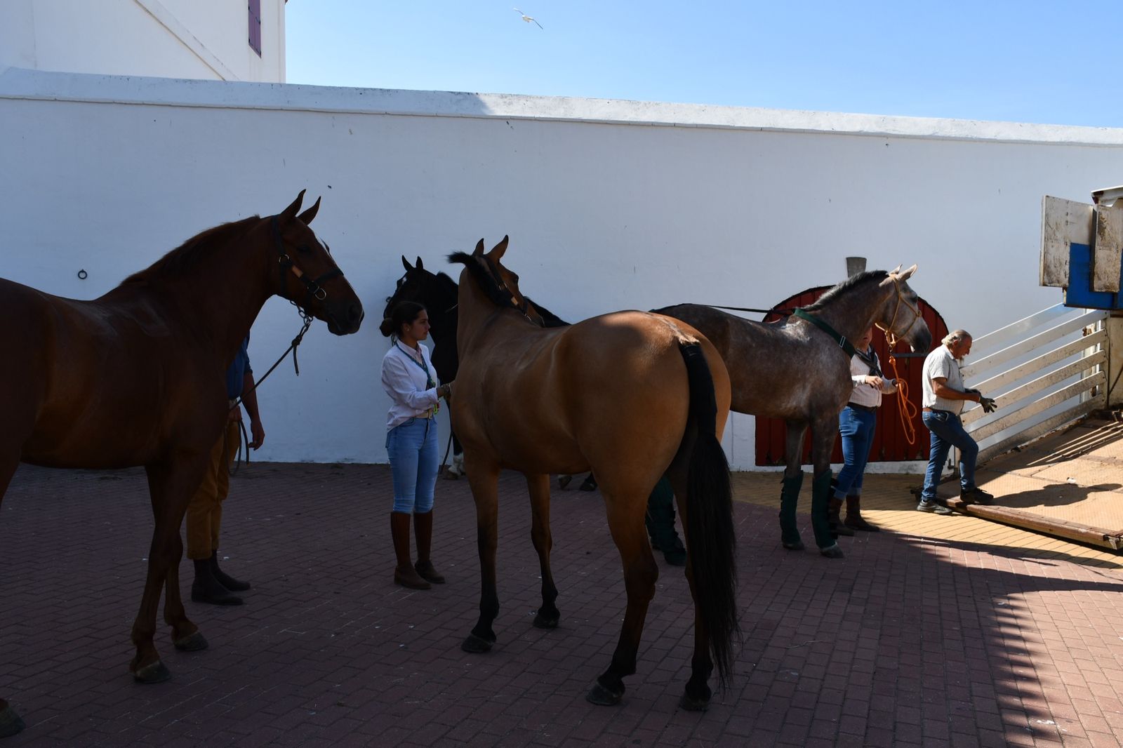 La hermandad del Rocío de San Roque preparando su salida.