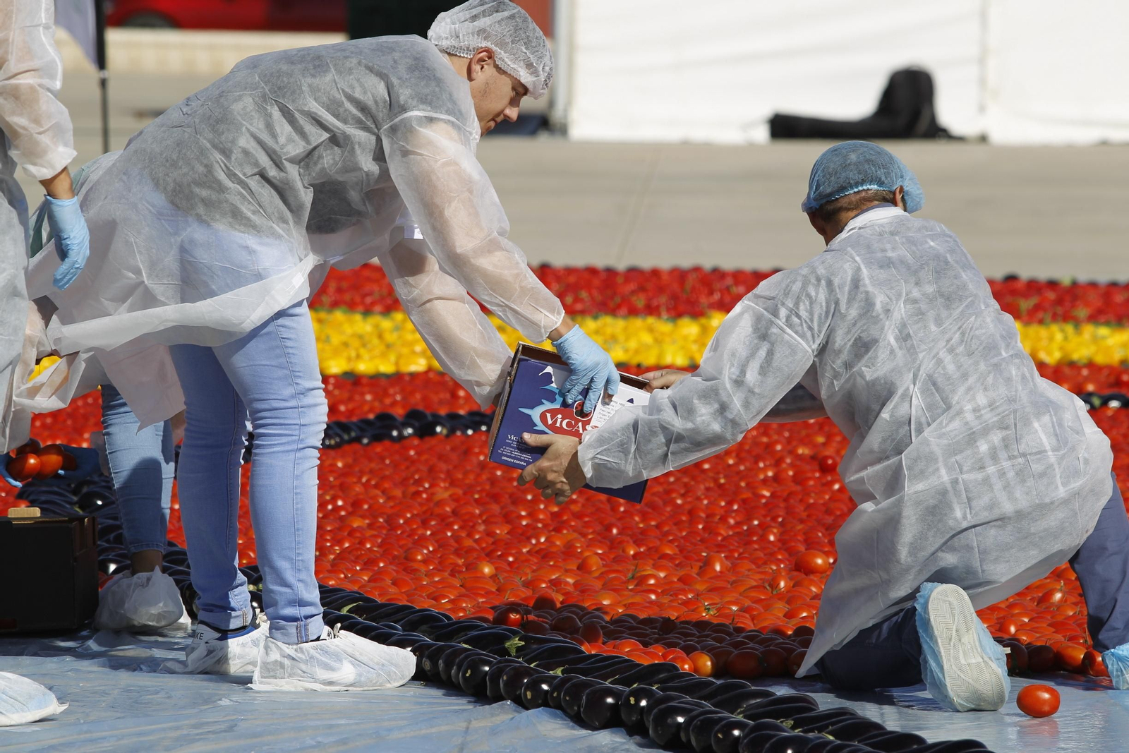 Fotogalería Récord Guinness Corazón Hortalizas Almería