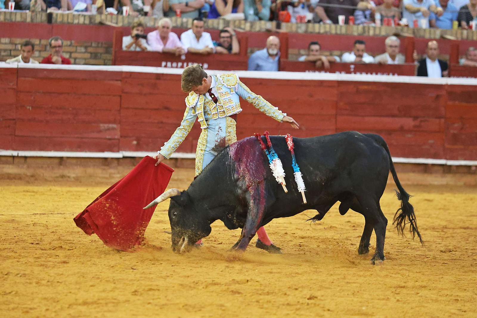 Toros La Merced 2024 Novillada con picadores(