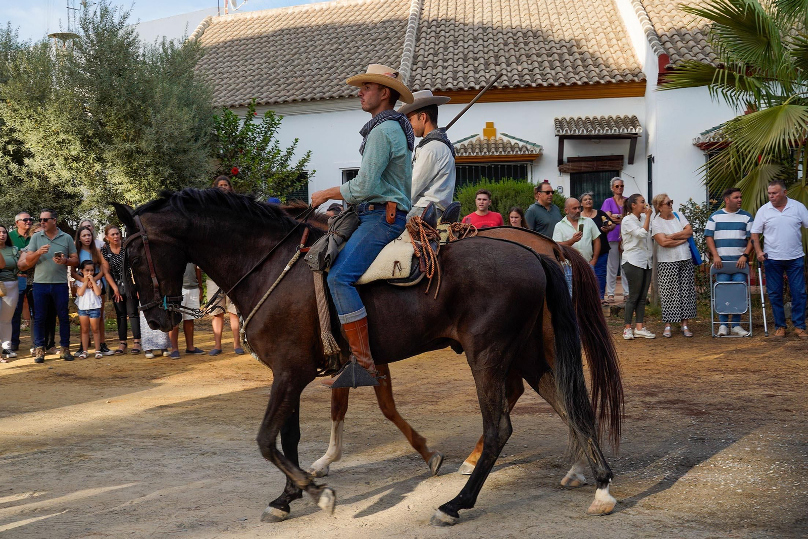 Las imágenes más destacas de la recogida de las yeguas en Hinojos