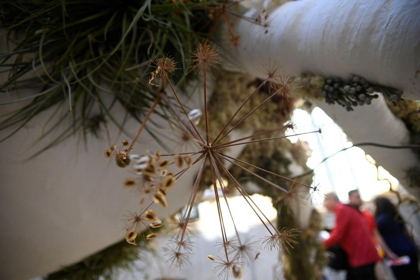 Las mejores fotos del Festival Flora 2024 de Córdoba