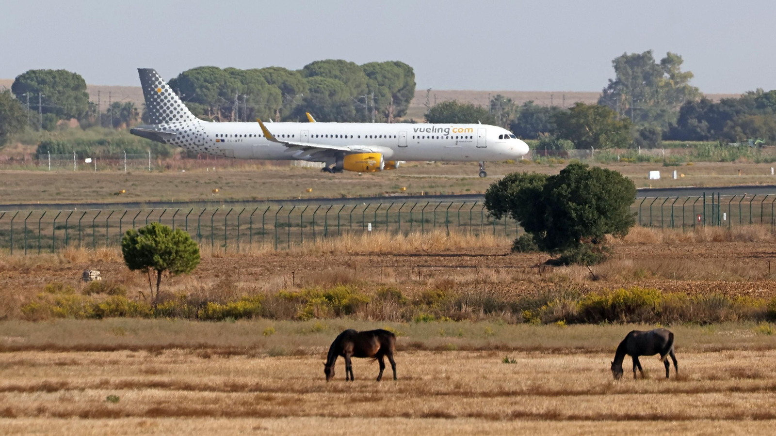Un avión de la compañía Vueling en el Aeropuerto de Jerez.