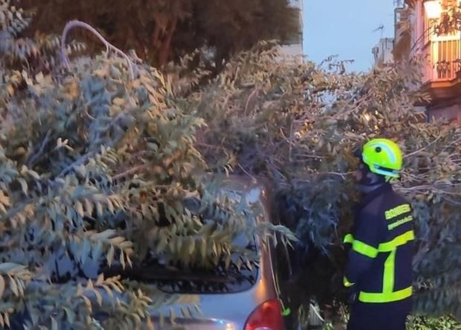 Un bombero junto al vehículo afectados por la caída de una rama en San Fernando.
