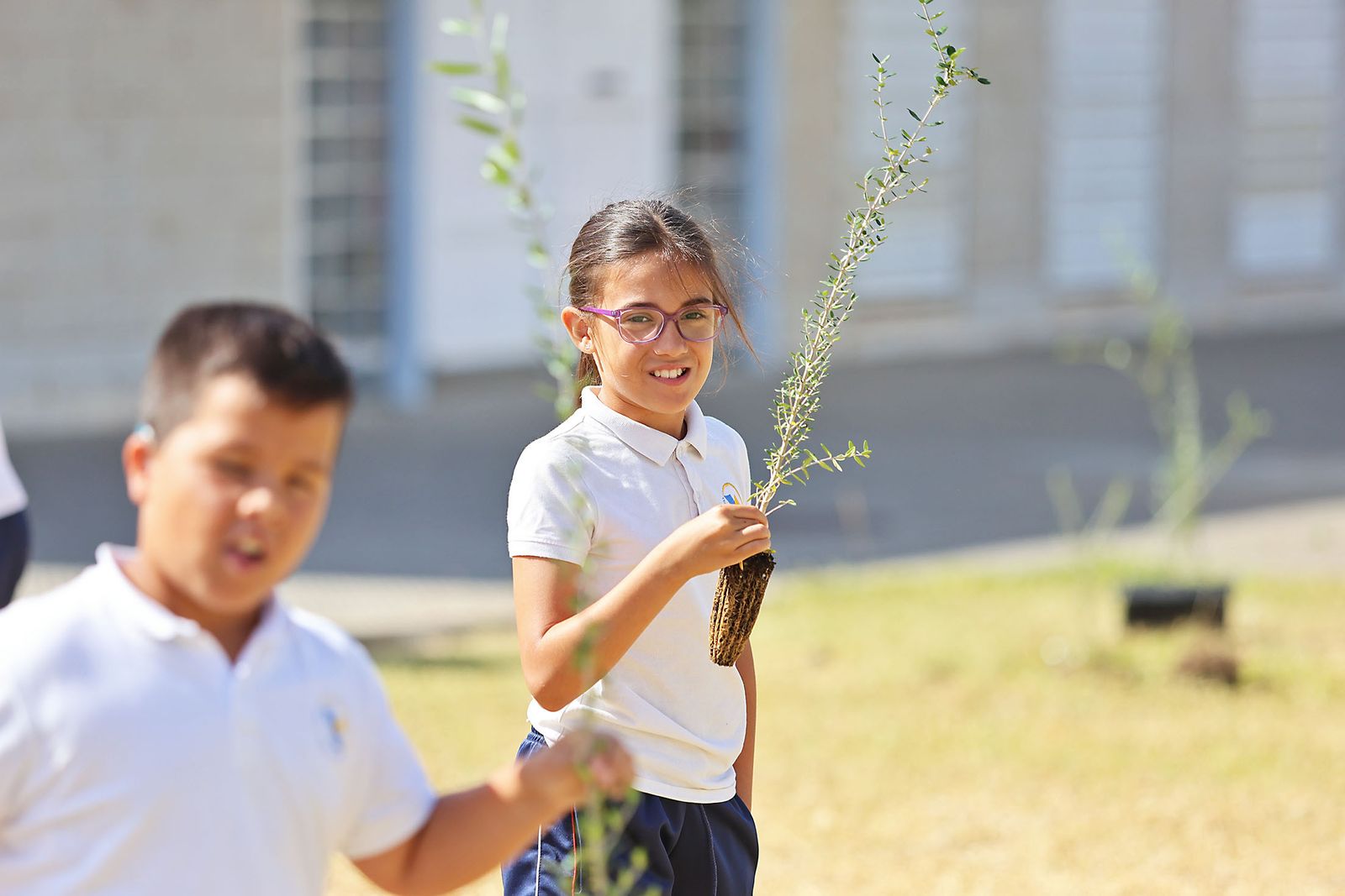 Los alumnos del colegio Virgen del Rocío realizan una plantación de arboles en el Hospital Juan Ramón Jiménez