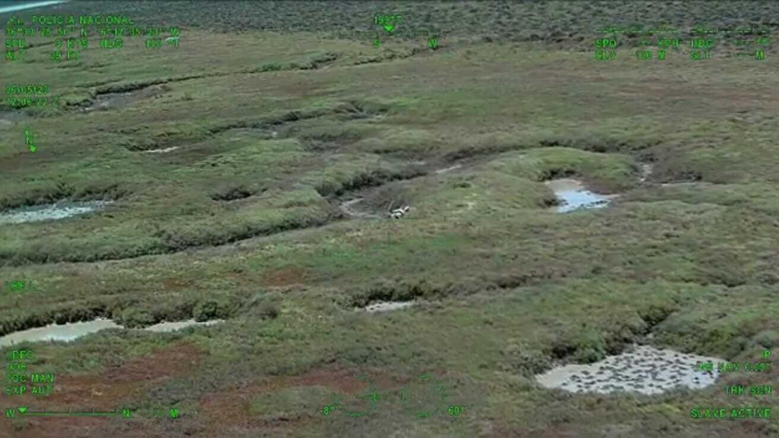 Este es el lugar exacto en el que apareció Ricardo Perales.