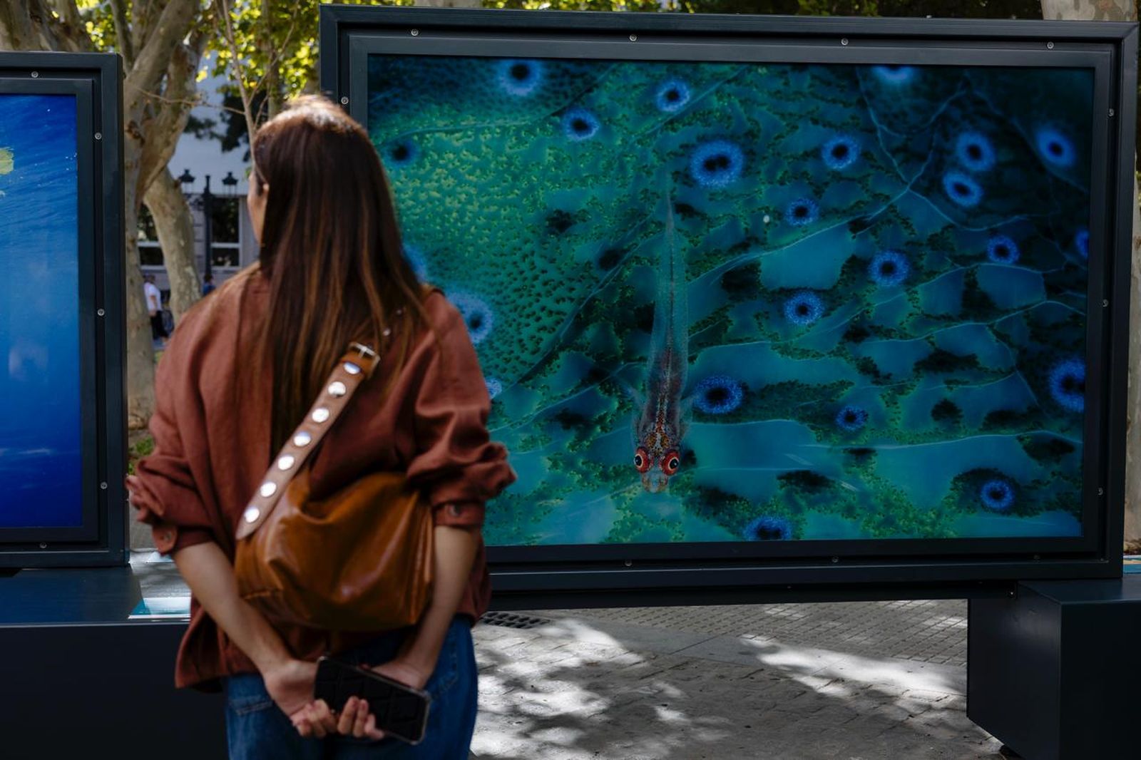 Imágenes de la exposición de National Geographic en Cádiz