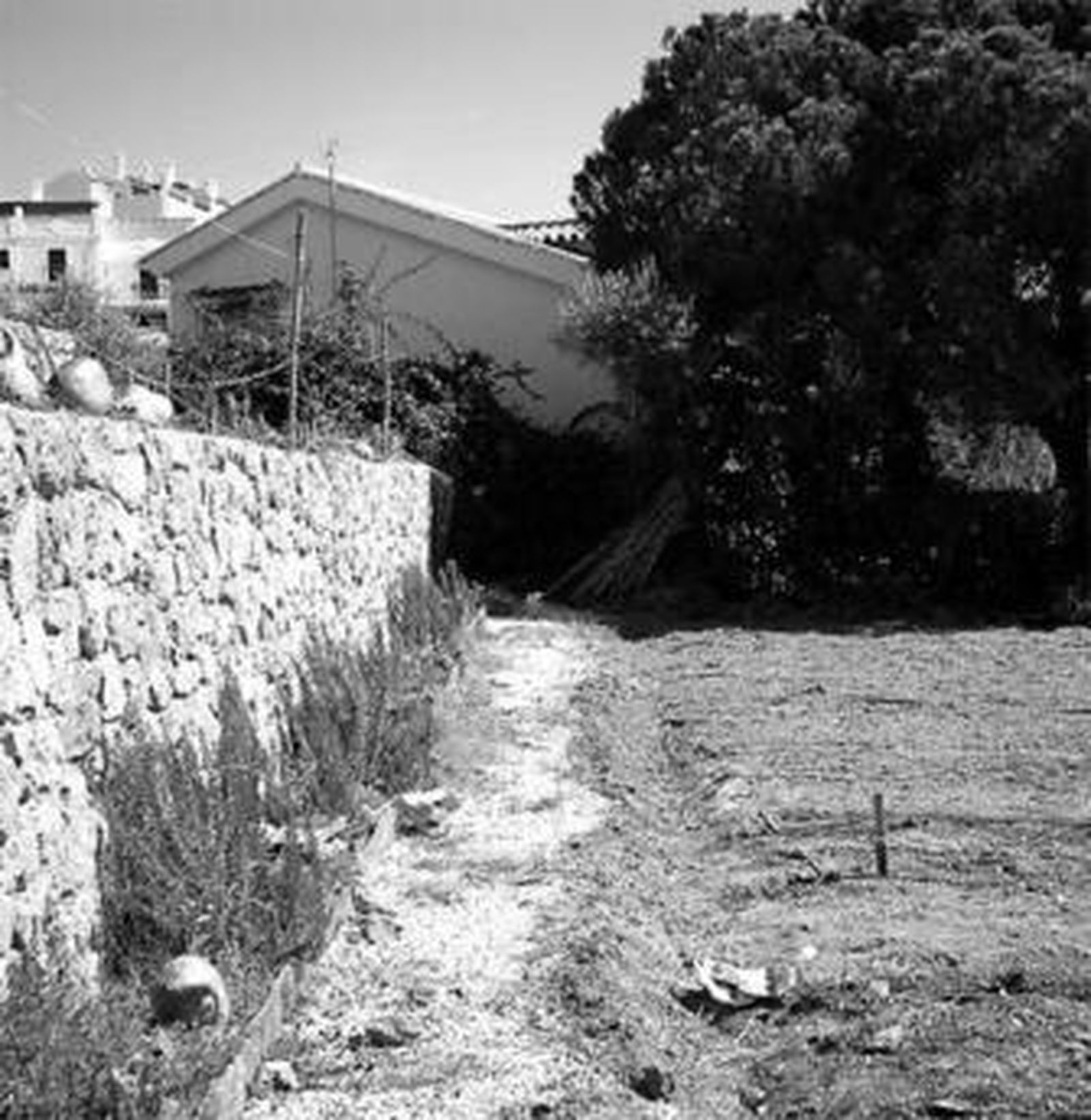 Imagen del huerto junto al colegio en Rincón.