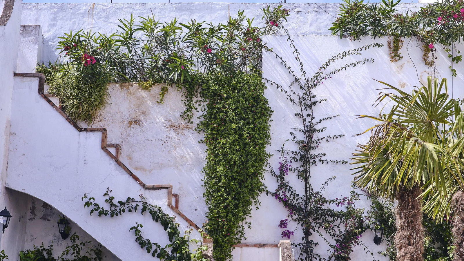 Fiesta de los patios 2023 de El Puerto