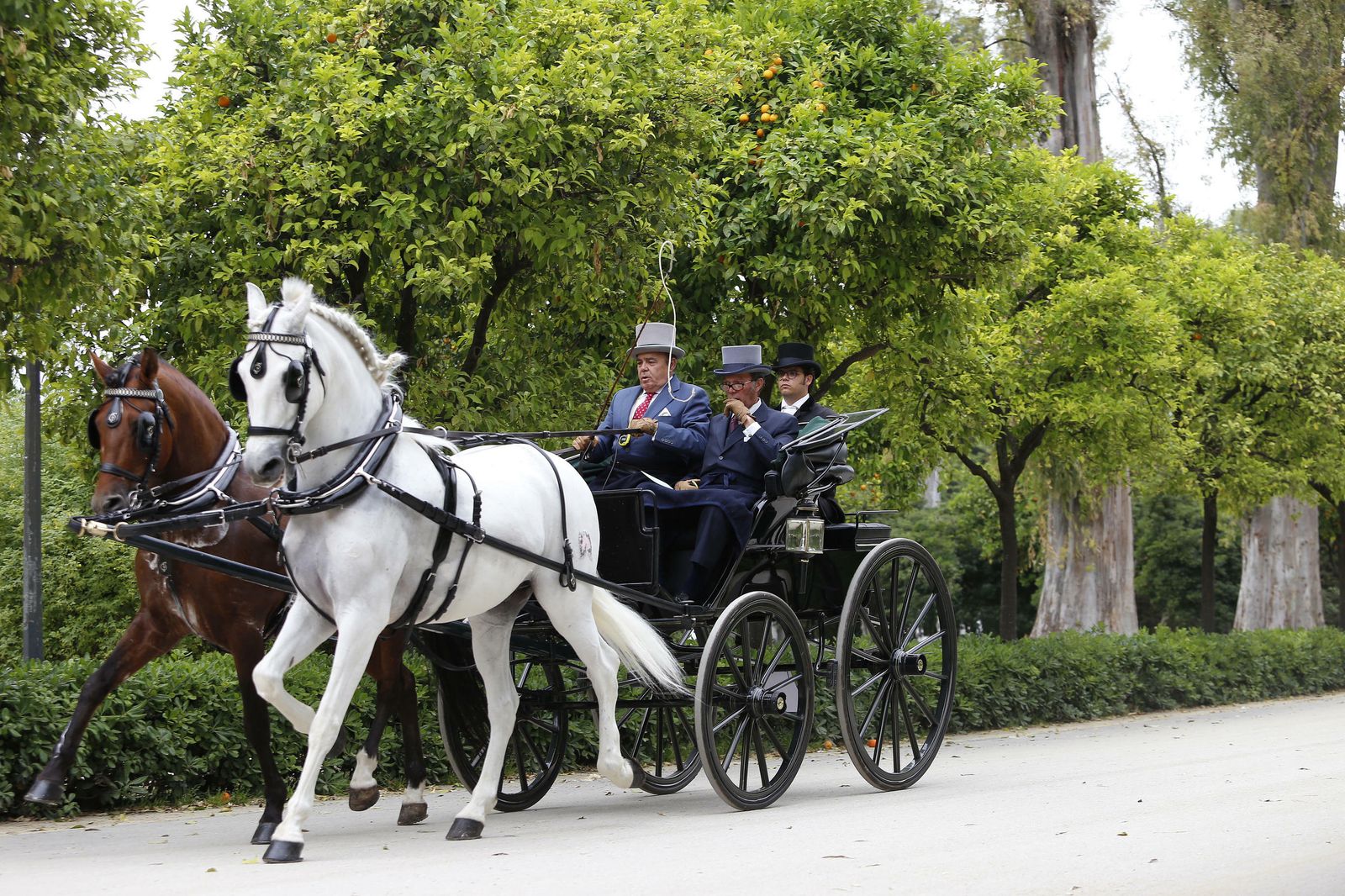 El concurso de enganches, en imágenes